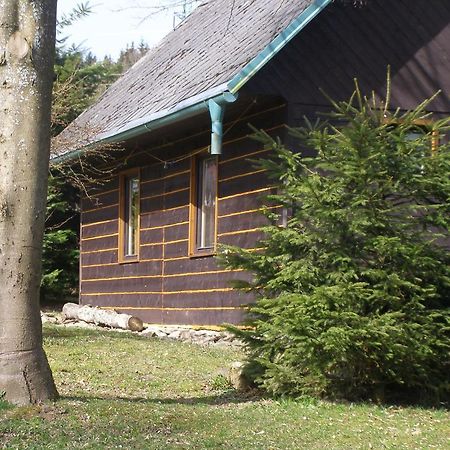 LoučoviceChata Dvorecna别墅 外观 照片
